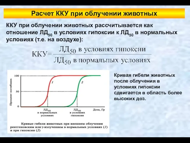 ККУ при облучении животных рассчитывается как отношение ЛД50 в условиях гипоксии