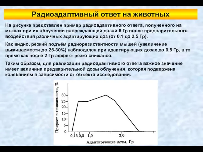 Радиоадаптивный ответ на животных На рисунке представлен пример радиоадаптивного ответа, полученного