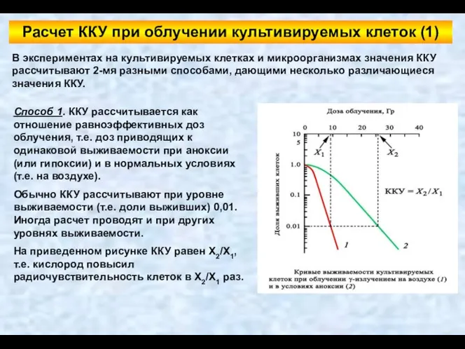 В экспериментах на культивируемых клетках и микроорганизмах значения ККУ рассчитывают 2-мя