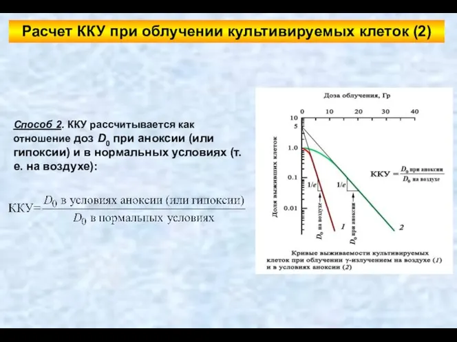 Способ 2. ККУ рассчитывается как отношение доз D0 при аноксии (или