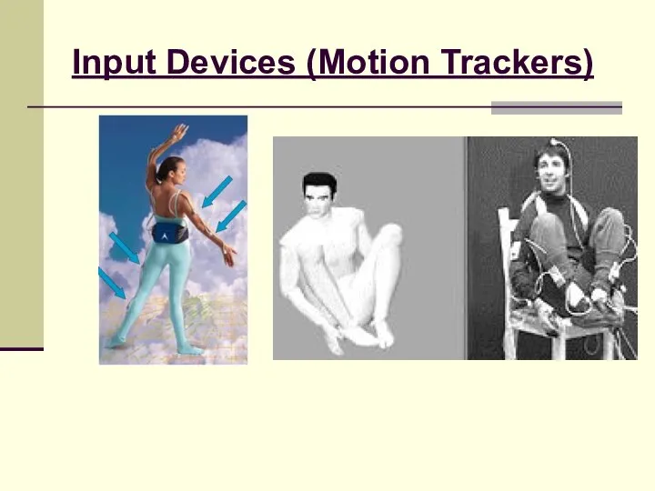 Input Devices (Motion Trackers)