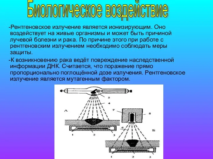 -Рентгеновское излучение является ионизирующим. Оно воздействует на живые организмы и может