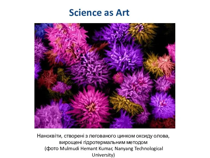 Science as Art Наноквіти, створені з легованого цинком оксиду олова, вирощені