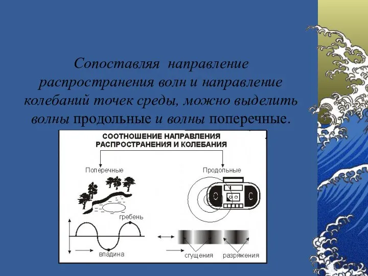 Сопоставляя направление распространения волн и направление колебаний точек среды, можно выделить волны продольные и волны поперечные.