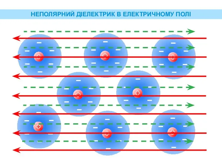 НЕПОЛЯРНИЙ ДІЕЛЕКТРИК В ЕЛЕКТРИЧНОМУ ПОЛІ