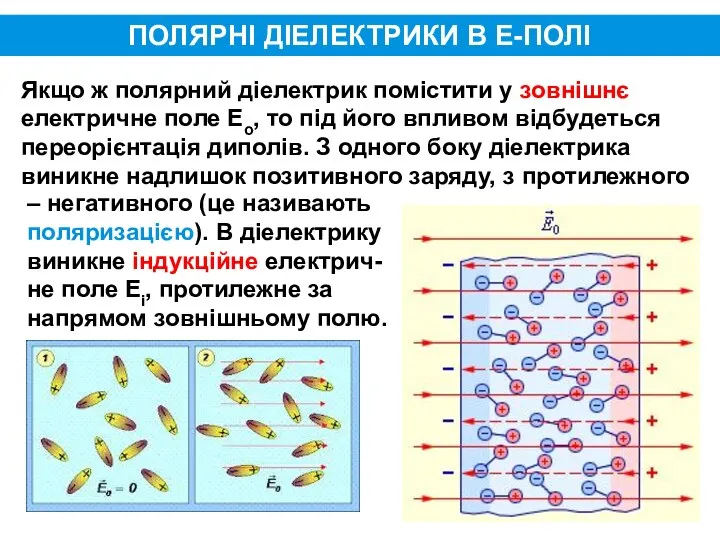 ПОЛЯРНІ ДІЕЛЕКТРИКИ В Е-ПОЛІ Якщо ж полярний діелектрик помістити у зовнішнє