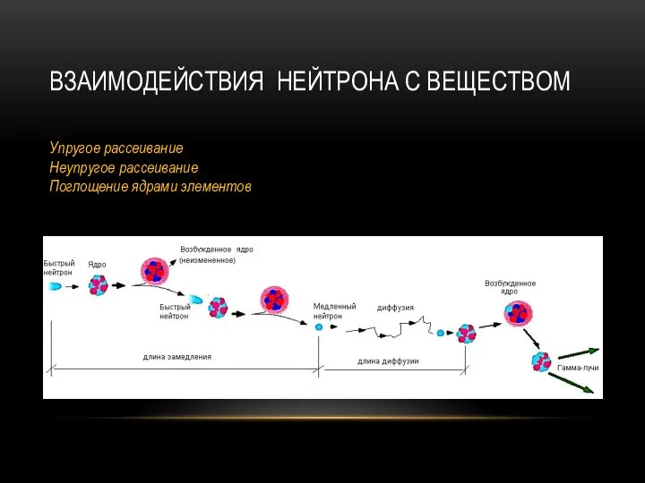 ВЗАИМОДЕЙСТВИЯ НЕЙТРОНА С ВЕЩЕСТВОМ Упругое рассеивание Неупругое рассеивание Поглощение ядрами элементов