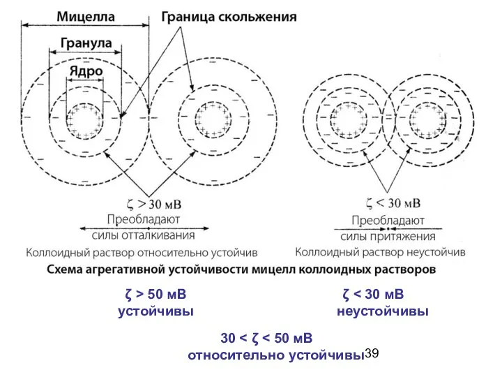 ζ 30 ζ > 50 мВ устойчивы