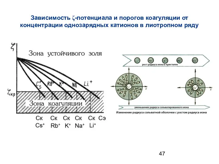 Зависимость ζ-потенциала и порогов коагуляции от концентрации однозарядных катионов в лиотропном ряду