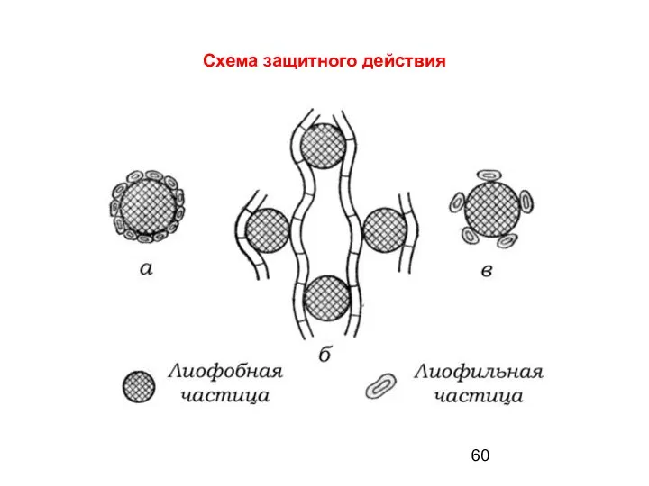 Схема защитного действия