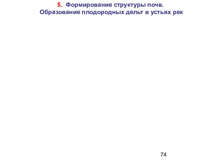 5. Формирование структуры почв. Образование плодородных дельт в устьях рек