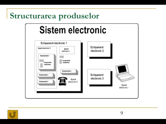 Structurarea produselor