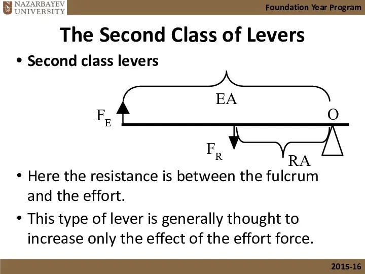 The Second Class of Levers Second class levers Here the resistance