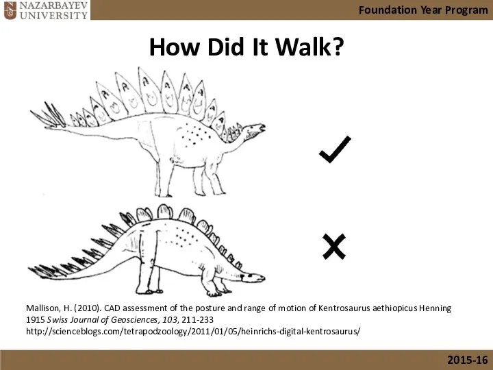 How Did It Walk? Mallison, H. (2010). CAD assessment of the