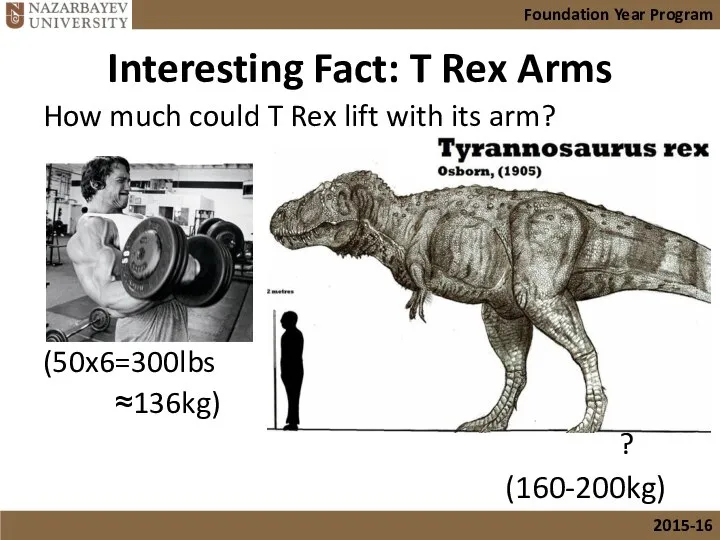 Interesting Fact: T Rex Arms How much could T Rex lift