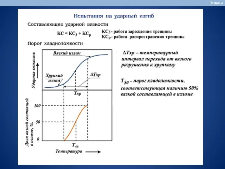 Лекция 4