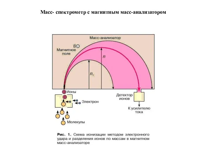 Масс- спектрометр с магнитным масс-анализатором