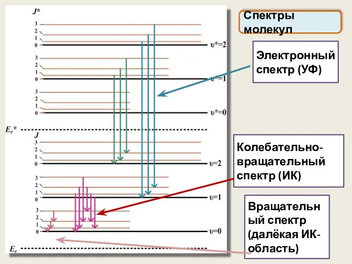 Спектры молекул Электронный спектр (УФ) Колебательно-вращательный спектр (ИК) Вращательный спектр (далёкая ИК-область)