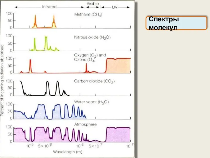 Спектры молекул