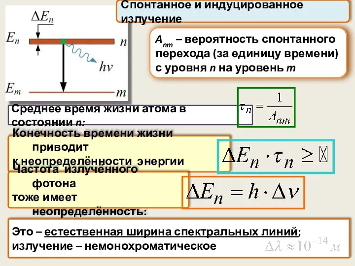 Anm – вероятность спонтанного перехода (за единицу времени) с уровня n