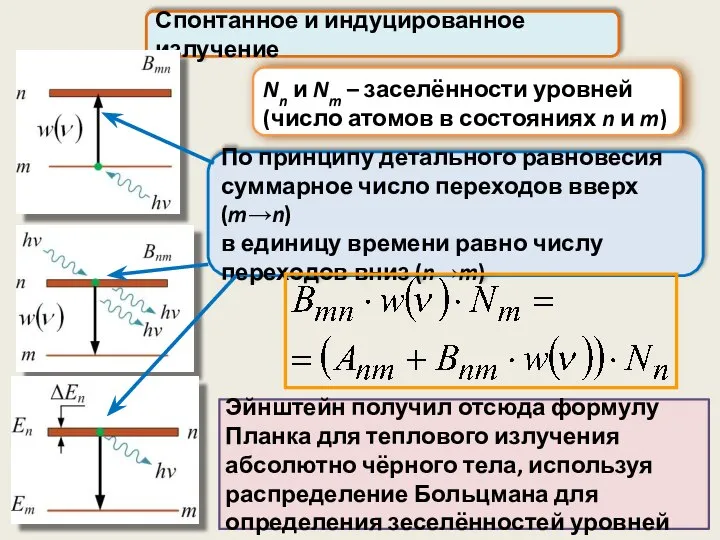 Nn и Nm – заселённости уровней (число атомов в состояниях n