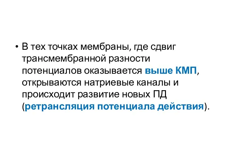 В тех точках мембраны, где сдвиг трансмембранной разности потенциалов оказывается выше