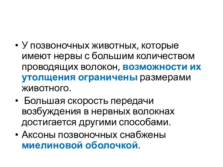 У позвоночных животных, которые имеют нервы с большим количеством проводящих волокон,