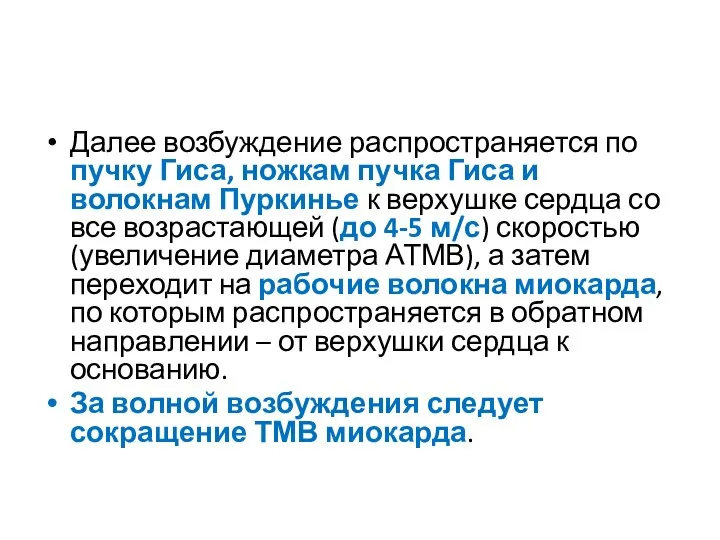 Далее возбуждение распространяется по пучку Гиса, ножкам пучка Гиса и волокнам