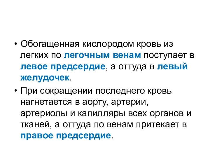 Обогащенная кислородом кровь из легких по легочным венам поступает в левое