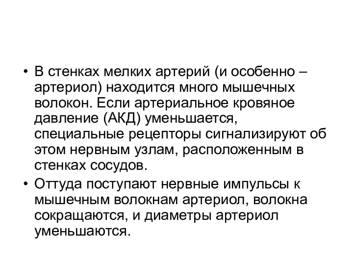 В стенках мелких артерий (и особенно – артериол) находится много мышечных