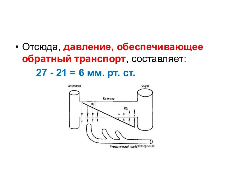 Отсюда, давление, обеспечивающее обратный транспорт, составляет: 27 - 21 = 6 мм. рт. ст.