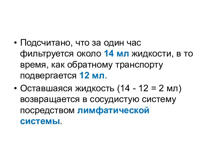 Подсчитано, что за один час фильтруется около 14 мл жидкости, в