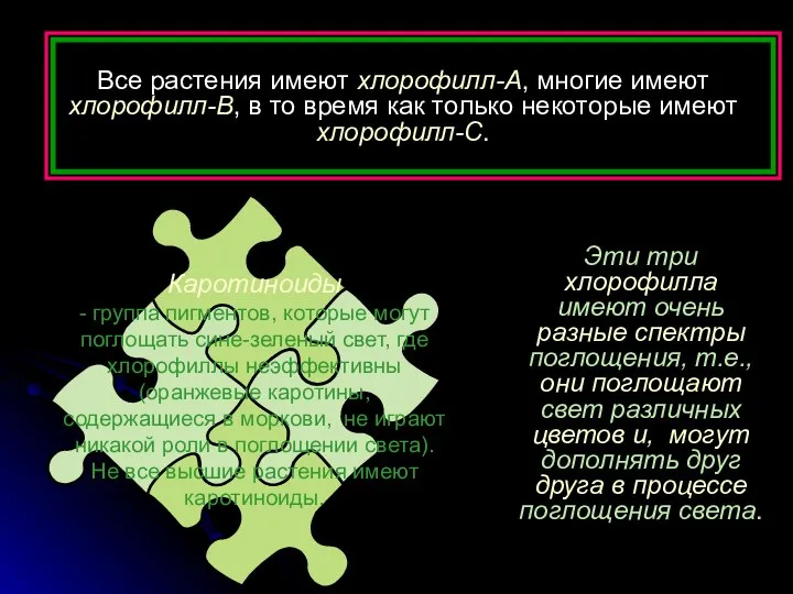 Эти три хлорофилла имеют очень разные спектры поглощения, т.e., они поглощают