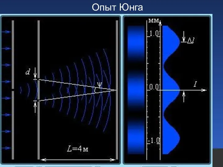 Интерференция света Опыт Юнга Опыт Юнга