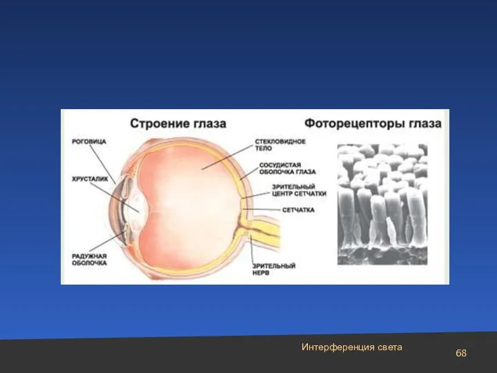 Интерференция света