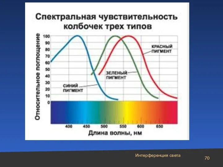 Интерференция света