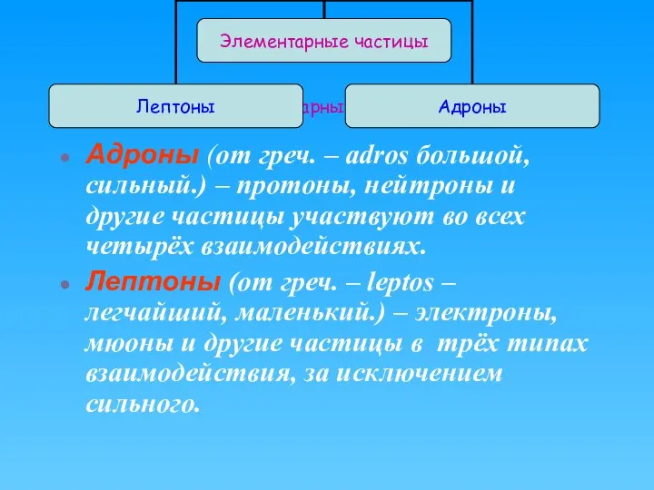 Элементарные частицы Адроны (от греч. – adros большой, сильный.) – протоны,