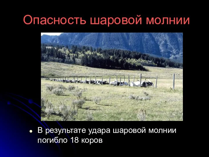 Опасность шаровой молнии В результате удара шаровой молнии погибло 18 коров