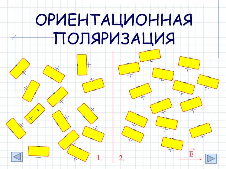 ОРИЕНТАЦИОННАЯ ПОЛЯРИЗАЦИЯ - + - + - + - + -