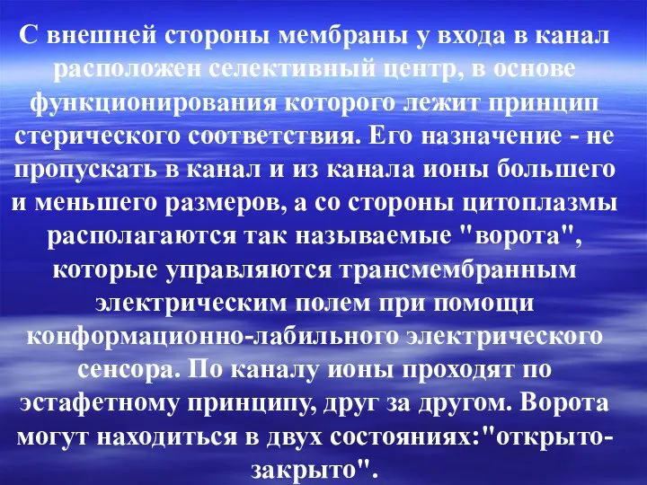 С внешней стороны мембраны у входа в канал расположен селективный центр,