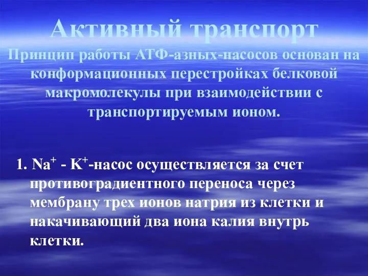 Активный транспорт Принцип работы АТФ-азных-насосов основан на конформационных перестройках белковой макромолекулы