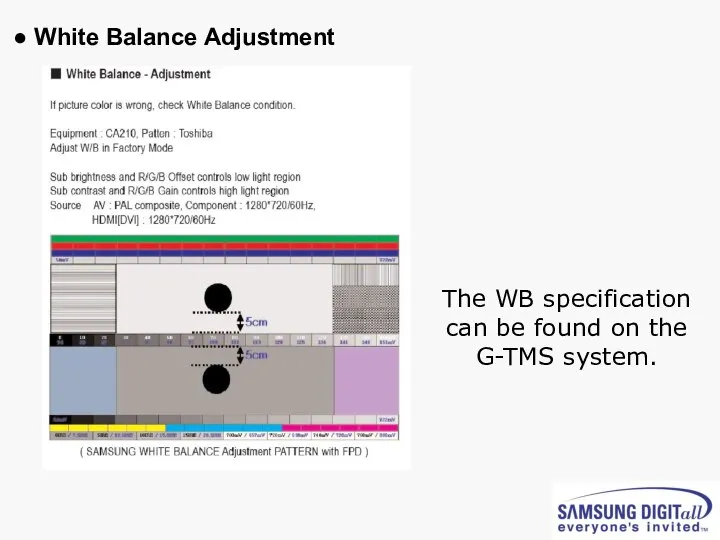 ● White Balance Adjustment The WB specification can be found on the G-TMS system.