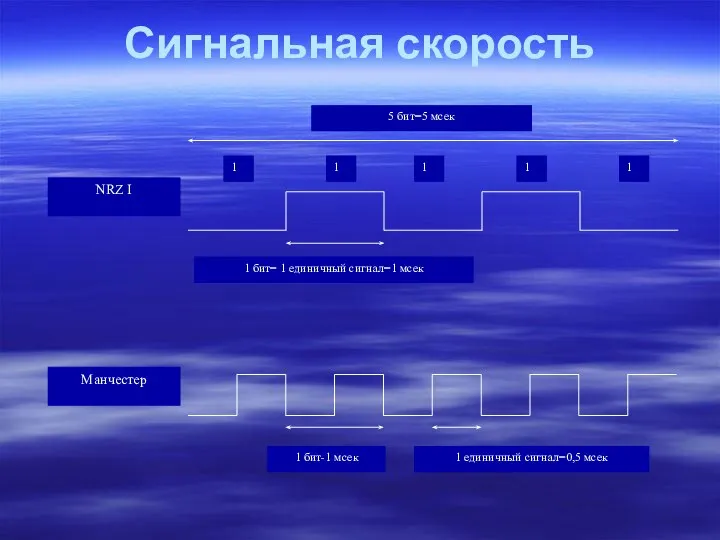 Сигнальная скорость