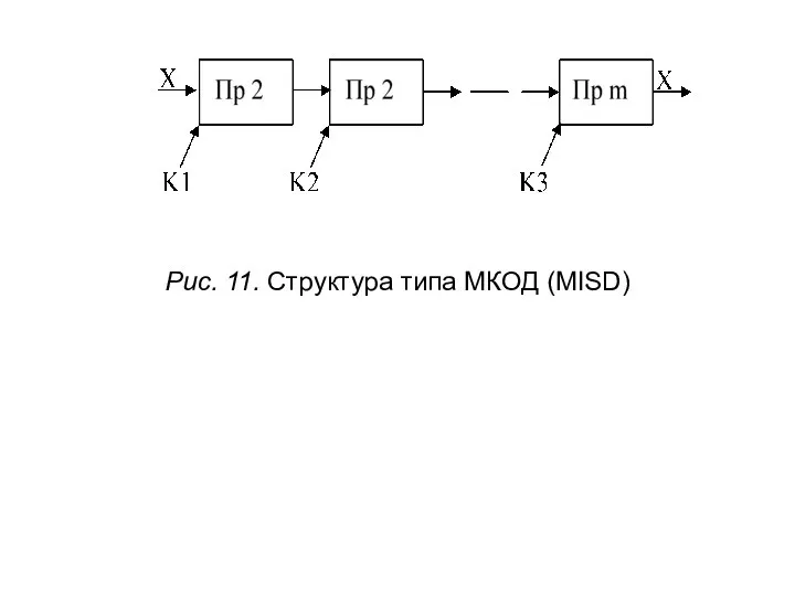 Рис. 11. Структура типа МКОД (MISD)