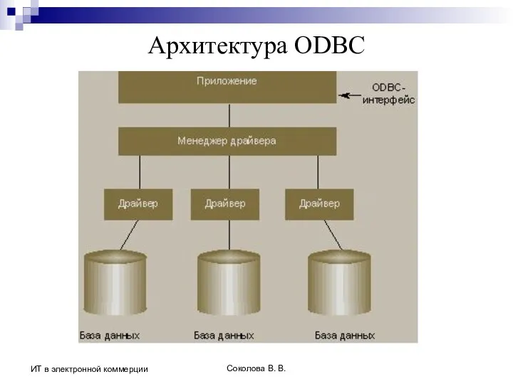 Соколова В. В. ИТ в электронной коммерции Архитектура ODBC