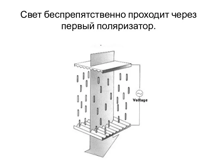 Свет беспрепятственно проходит через первый поляризатор.