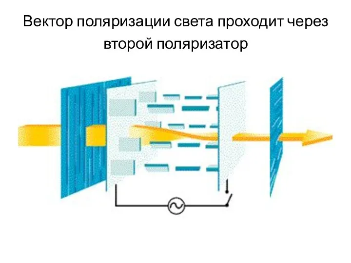 Вектор поляризации света проходит через второй поляризатор