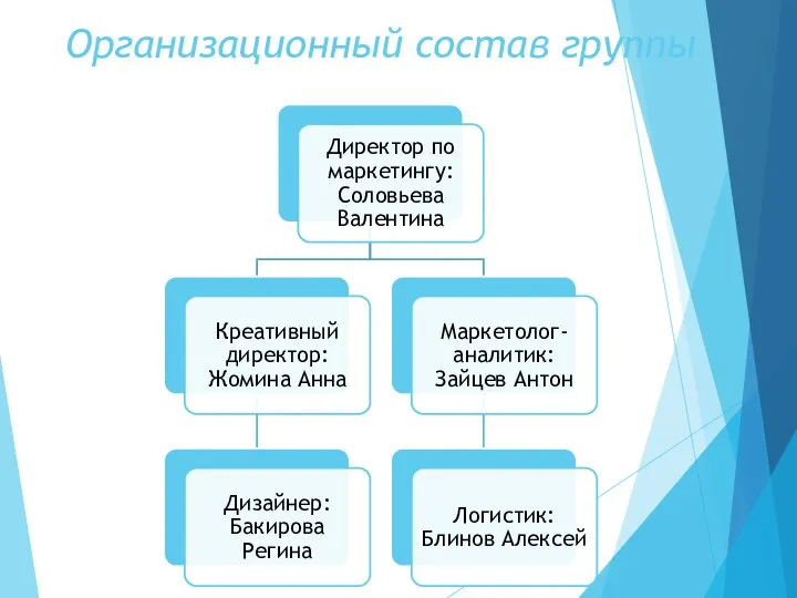 Организационный состав группы