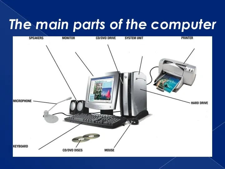 The main parts of the computer