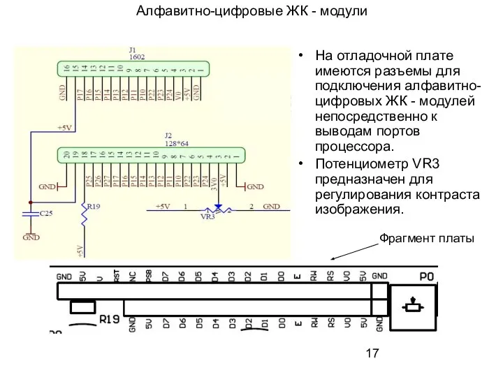 Алфавитно-цифровые ЖК - модули На отладочной плате имеются разъемы для подключения